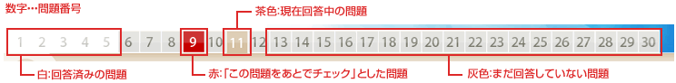 番号ボタンの見方
    数字・・・問題番号
    白：回答済みの問題
    茶色：現在回答中の問題
    赤：「この問題をあとでチェック」とした問題
    灰色：まだ回答していない問題